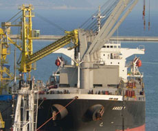 Украинские морские порты за 2015 год переработали 37,46 млн т зерновых грузов