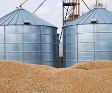 ГПЗКУ приняла на хранение 2 млн тонн зерна и масличных культур с начала 2015/2016