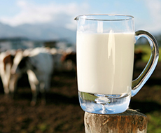 Украина в декабре сократила экспорт молока