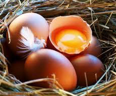 Израиль вслед за запретом импорта яиц из Украины запретил их ввоз из Испании