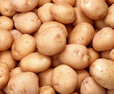 Урожай картофеля в 2015 уменьшился до 20,8 млн тонн