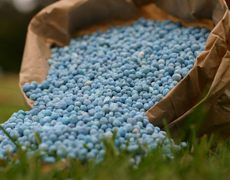 Украинский рынок азотных удобрений прощается с монополией