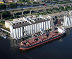 Ильичевский порт перевалил 300 тыс. т зерна