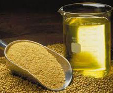 Украина увеличивает производство соевого масла