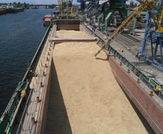 Через порты Николаева экспортируется четверть объема всего украинского зерна