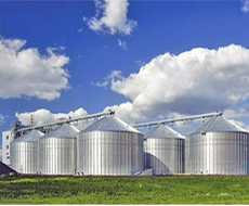 В текущем МГ предприятия ГПЗКУ приняли около 3,3 млн тонн зерна