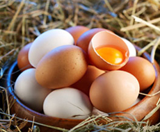 Снижение цен на яйца в Украине вызвано значительным сокращением экспорта