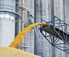 Украина экспортировала рекордный объем пшеницы