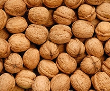 Держава повинна легалізувати експорт горіхів — Пахно