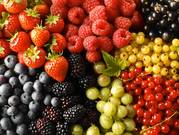За 2015 год экспорт украинских ягод вырос в два раза