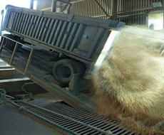 Украина к 25 марта экспортировала почти 30 млн. тонн зерна – Павленко
