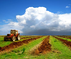 Готовность сельхозтехники к весенне-полевым работам в Казахстане составляет около 90%
