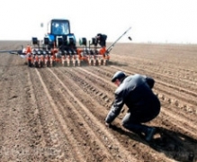 В Украине засеяно 2,2 млн га яровыми зерновыми и зернобобовыми культурами