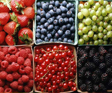 Для успешного экспорта ягоды из Украины в ЕС необходимо соблюдать требования спецификации – эксперт