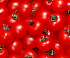 Україна втричі збільшила експорт оброблених томатів