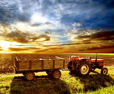 Кутовий домовлятиметься з Японією про надання українським фермерам тракторів в лізинг