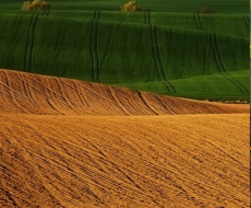 Кабмин Украины намерен обеспечить оборот сельхозземель с сохранением действующей системы прав собственности