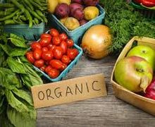 Посилити державний контроль за підробками органічних продуктів може вдосконалене законодавче регулювання