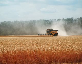 AgroGeneration почав збирання ранніх зернових у східних регіонах