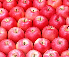 Казахстан з усіх фруктів і ягід віддає перевагу яблукам