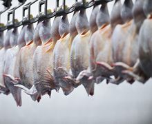 За сім місяців Україна на 45% наростила експорт м'яса птиці