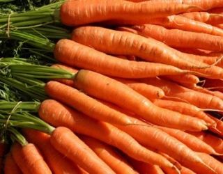 Ціни на моркву стрімко знижуються