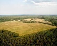 На Дніпропетровщині на земельних аукціонах передали в оренду понад 450 га сільгоспземель