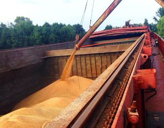 ДПЗКУ почала відвантажувати зерно альтернативно ‒ з власних річкових терміналів