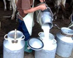 Виробництво молока в Україні впало на 2%