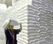 Українські заводи виробили 94 тис. тонн цукру