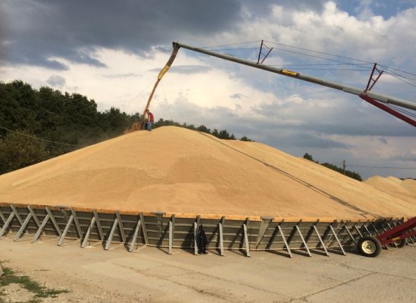 USDA підвищило прогноз експорту зерна з України на 1,4 млн тонн