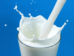 «Молочний альянс» вперше експортував ультрапастеризоване молоко до Бахрейну