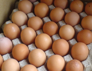 Асоціація постачальників торговельних мереж вимагає розслідування на ринку курячих яєць