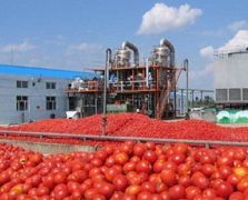 15 млн дол. на будівництво заводу з переробки томатів