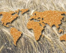 Експерти знижують експорт зерна з РФ, новий прогноз — 35,4 млн тонн