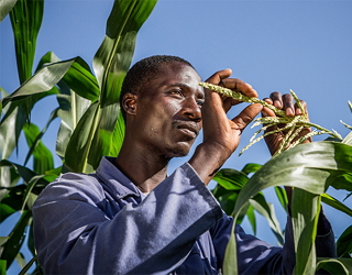 Східна Африка — нові експортні горизонти для українського аграрного виробника