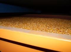На Полтавщині ДФС конфіскувала кукурудзи на 7 млн грн