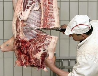 Як коливаються світові ціни на свинину