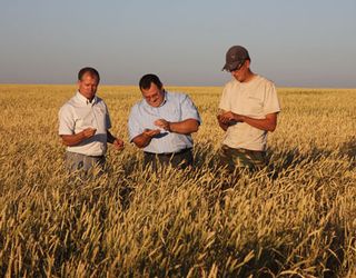 Британські аграрії назвали, що заважає українським сільгоспвиробникам отримувати кращі результати