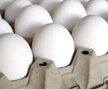 З початку року в Україні трохи зросло виробництво яєць
