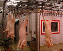 Ціни на свинину в лютому зросли на 15%