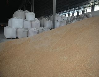 Україна експортувала майже 29 млн тонн зернових