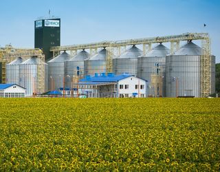 Термінал «НІБУЛОНу» у Вознесенську планує у 2017/18 МР прийняти вдвічі більше зерна