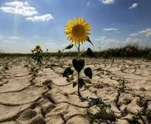 Мінагрополітики представило план адаптації сільського господарства в Україні до зміни клімату