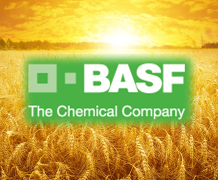 Літні заходи компанії BASF проходять в чотирьох областях України
