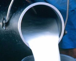 На Сумщині планують створити кооператив із заготівлі молока