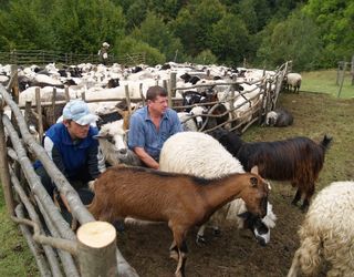 Львівщина спільно з Австрією впровадить освітні проекти для навчання аграріїв