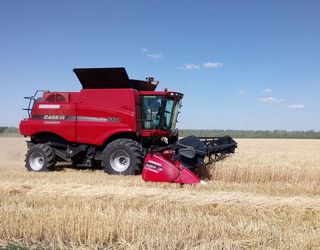 СОК «Зерновий» збирає ранні зернові на Дніпропетровщині