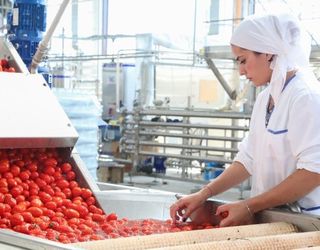 Agrofusion може запустити завод з переробки томатів уже в серпні