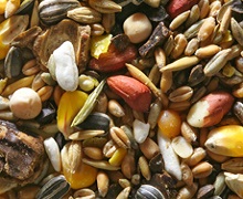 Кабмін затвердив процедуру експертного визначення якості насіння та садивного матеріалу